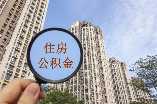 查询我的住房公积金-射洪公积金代办平台
